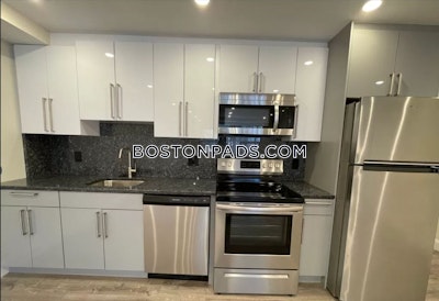 Allston Apartment for rent Studio 1 Bath Boston - $2,700 No Fee