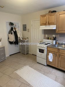 Brighton Apartment for rent 1 Bedroom 1 Bath Boston - $1,495 No Fee