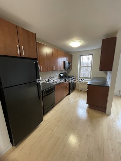 Brighton Apartment for rent 2 Bedrooms 1 Bath Boston - $3,916 No Fee
