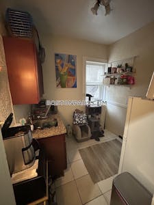 Allston/brighton Border Apartment for rent Studio 1 Bath Boston - $1,950