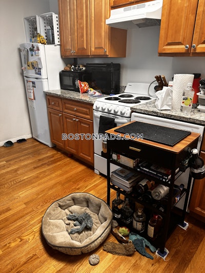 Brighton Apartment for rent 1 Bedroom 1 Bath Boston - $2,200