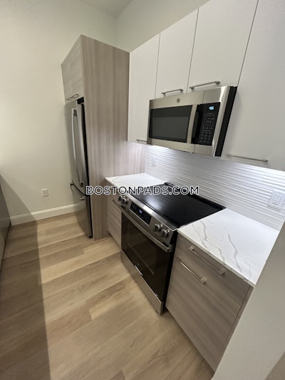 Allston Apartment for rent 1 Bedroom 1 Bath Boston - $3,200 No Fee