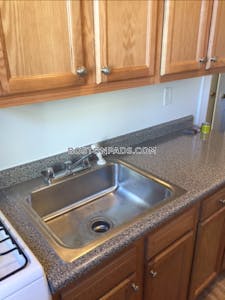 Allston/brighton Border Apartment for rent 1 Bedroom 1 Bath Boston - $2,625 No Fee