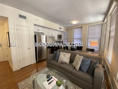 Downtown 1 Bed 1 Bath BOSTON Boston - $3,400 50% Fee