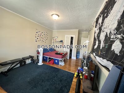 Brighton 4 Beds 1 Bath Boston - $3,800