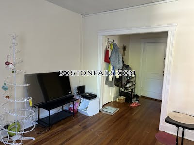 Brighton Apartment for rent 1 Bedroom 1 Bath Boston - $2,400