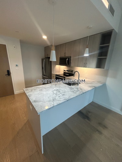 Allston Apartment for rent 2 Bedrooms 2 Baths Boston - $4,900 No Fee