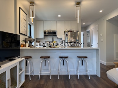 Brighton Apartment for rent 3 Bedrooms 3 Baths Boston - $5,100