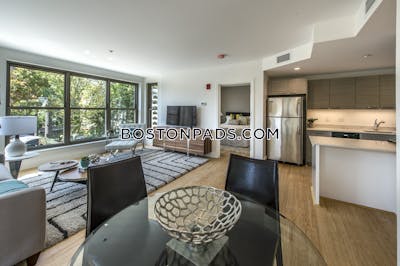 Allston Apartment for rent 2 Bedrooms 2 Baths Boston - $4,350