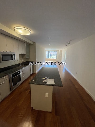 West End Apartment for rent 1 Bedroom 1 Bath Boston - $3,845