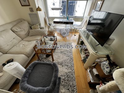 Downtown Apartment for rent 1 Bedroom 1 Bath Boston - $2,700 No Fee