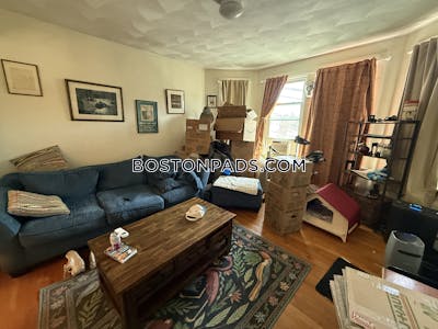 Brighton Apartment for rent 1 Bedroom 1 Bath Boston - $2,200