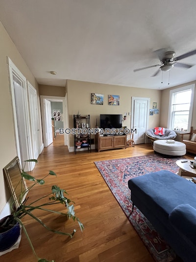 Brookline 2 bedroom 1 baths in BROOKLINE- BROOKLINE VILLAGE  Brookline Village - $3,500