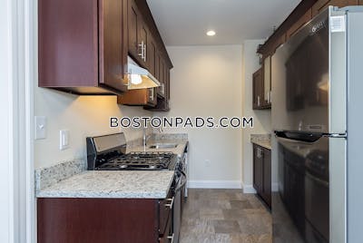 Allston Apartment for rent 1 Bedroom 1 Bath Boston - $2,995