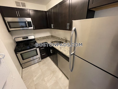 Brookline Apartment for rent 2 Bedrooms 1 Bath  Boston University - $3,900 No Fee