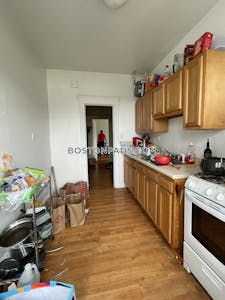 Allston/brighton Border Apartment for rent 1 Bedroom 1 Bath Boston - $2,595 No Fee