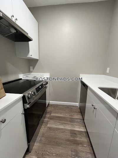 Jamaica Plain Apartment for rent 2 Bedrooms 1 Bath Boston - $3,200 No Fee