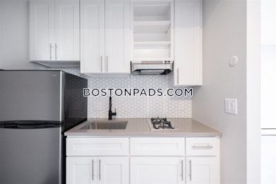 South End Apartment for rent Studio 1 Bath Boston - $2,800