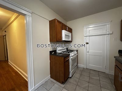 Brighton Apartment for rent 1 Bedroom 1 Bath Boston - $2,250 No Fee