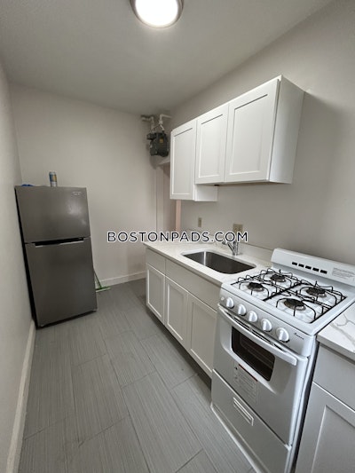 Allston Apartment for rent 1 Bedroom 1 Bath Boston - $2,400