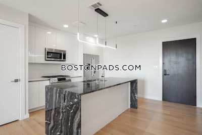East Boston 2 bedroom 2 baths Luxury in BOSTON Boston - $4,400 No Fee