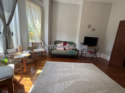 Roxbury 1 Bed 1 Bath Boston - $2,400