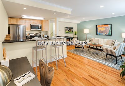 Brookline Apartment for rent 1 Bedroom 1 Bath  Chestnut Hill - $3,085 No Fee