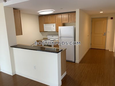 Dorchester Apartment for rent 2 Bedrooms 2 Baths Boston - $3,747 No Fee