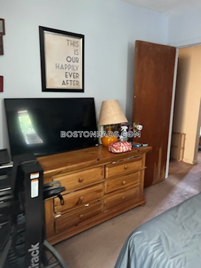 Newton Apartment for rent 2 Bedrooms 1 Bath  Chestnut Hill - $3,000