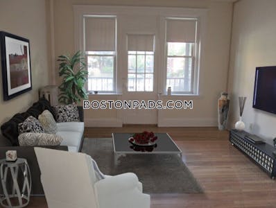 Brighton Apartment for rent 1 Bedroom 1 Bath Boston - $2,500
