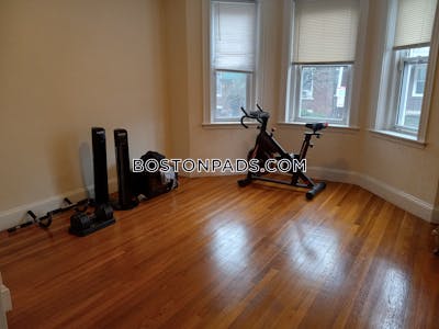 Allston Apartment for rent 1 Bedroom 1 Bath Boston - $2,600 No Fee