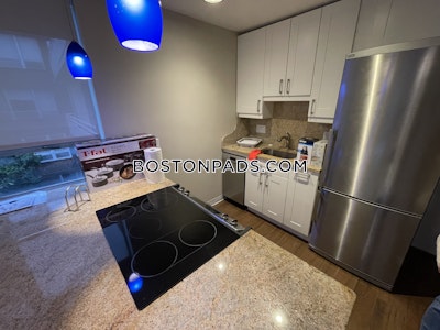 Brookline Apartment for rent 1 Bedroom 1 Bath  Cleveland Circle - $2,900