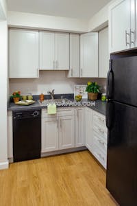 Fenway/kenmore Apartment for rent 2 Bedrooms 1 Bath Boston - $4,760 No Fee