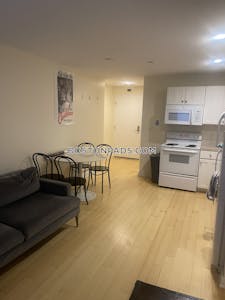 Downtown Apartment for rent 1 Bedroom 1 Bath Boston - $3,000 No Fee