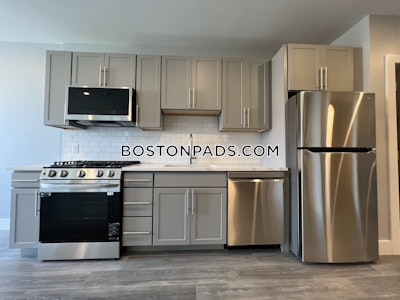 Brighton 1 bedroom 1 baths Luxury in BOSTON Boston - $3,600 No Fee
