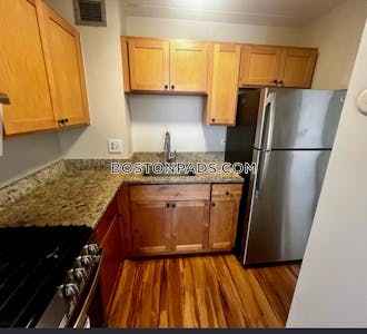 South End 1 Bed 1 Bath Boston - $3,000 No Fee