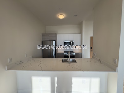 Allston 2 bedroom 2 baths in BOSTON Boston - $4,550 No Fee