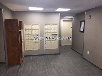 Brookline Apartment for rent 2 Bedrooms 1 Bath  Washington Square - $3,425 No Fee