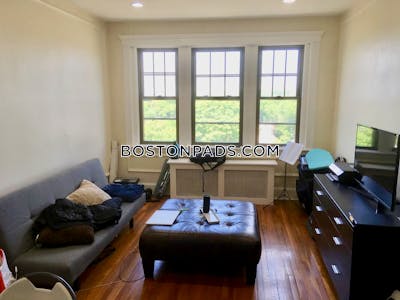 Brighton Apartment for rent 1 Bedroom 1 Bath Boston - $2,400