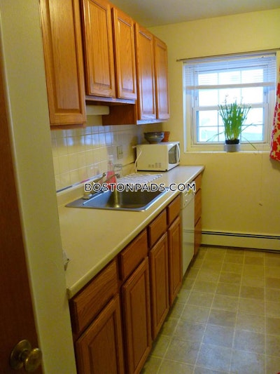 Arlington Apartment for rent 1 Bedroom 1 Bath - $1,950 No Fee