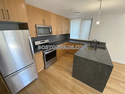 Allston Beautiful 2 bed 2 bath on Gardner Boston - $5,100