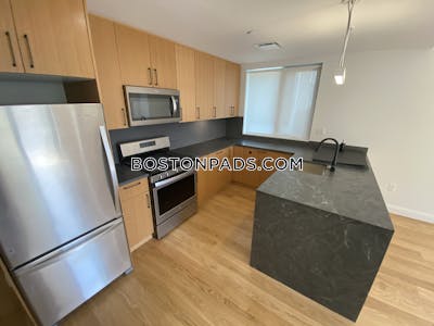 Allston Beautiful 2 bed 2 bath on Gardner Boston - $5,300