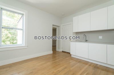 Brighton Apartment for rent 2 Bedrooms 1 Bath Boston - $3,700