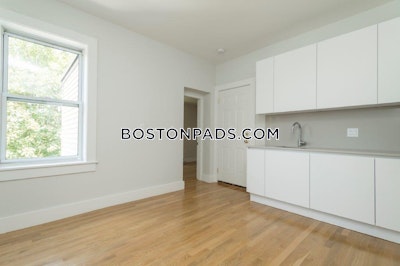Brighton Apartment for rent 2 Bedrooms 1 Bath Boston - $3,700