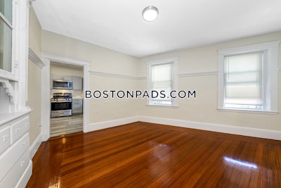 Brighton Apartment for rent 3 Bedrooms 1 Bath Boston - $3,500