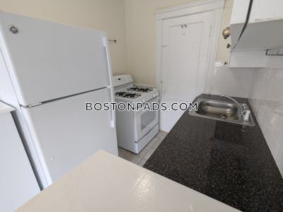 Brighton Apartment for rent 1 Bedroom 1 Bath Boston - $2,700