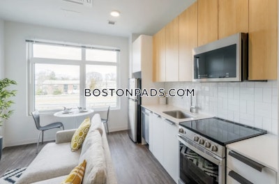 Allston Apartment for rent Studio 1 Bath Boston - $3,445 No Fee