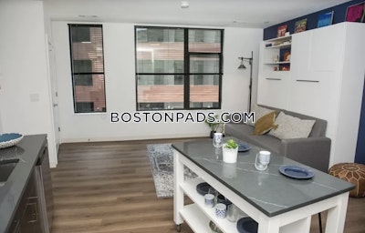 Allston Apartment for rent Studio 1 Bath Boston - $3,015 No Fee