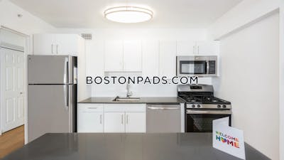 West End Apartment for rent Studio 1 Bath Boston - $2,930