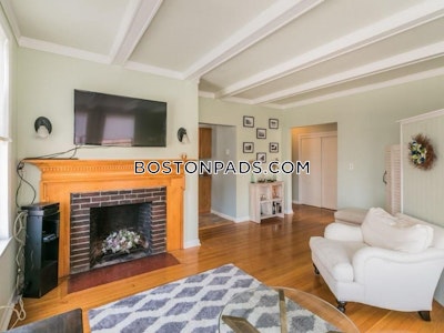 Brighton Apartment for rent 1 Bedroom 1 Bath Boston - $3,100 No Fee